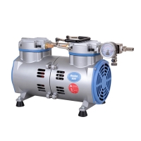 Rocker 800, Oil Free Vacuum Pump, AC220V, 50Hz