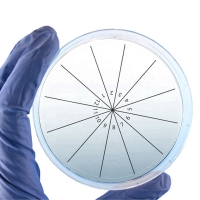 PetriStickers, 8-sector pie  36/pk