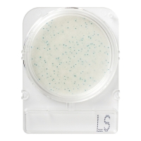 Номенклатура Стайлаб - заказываем 1000899 (40), 1001013 (240), 1401013 (500) или 1502885 (1404)