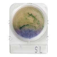 Compact Dry SL (Salmonella), 40 шт. Номенклатура Стайлаб - заказываем 1002973 (40), 1002938 (240), 1402938 (500) или 1502887 (1404)