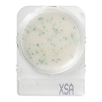 Номенклатура Стайлаб - заказываем 1800900 (40), 1001014 (240), 1001014 (500) или 1502886 (1404)