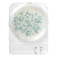 Номенклатура Стайлаб - заказываем 1000867 (40), 1000868 (240) или 1400868 (500) или 1502881 (1404)