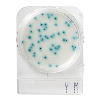 Номенклатура Стайлаб - заказываем 1000869 (40), 1000870 (240), 1502882 (500) или 1502882 (1404)