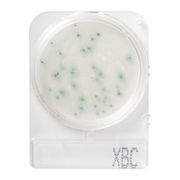 Номенклатура Стайлаб - заказываем 1002970 (40), 1002971 (240), 1402971 (500) или 1502991 (1404)