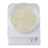 Номенклатура Стайлаб - заказываем 1800900 (40), 1001014 (240), 1001014 (500) или 1502886 (1404)