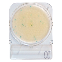 Номенклатура Стайлаб - заказываем 1006732 (40), 1006731 (240)