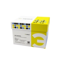 KA02801H Enrofloxacin Residue ELISA Kit, 96T